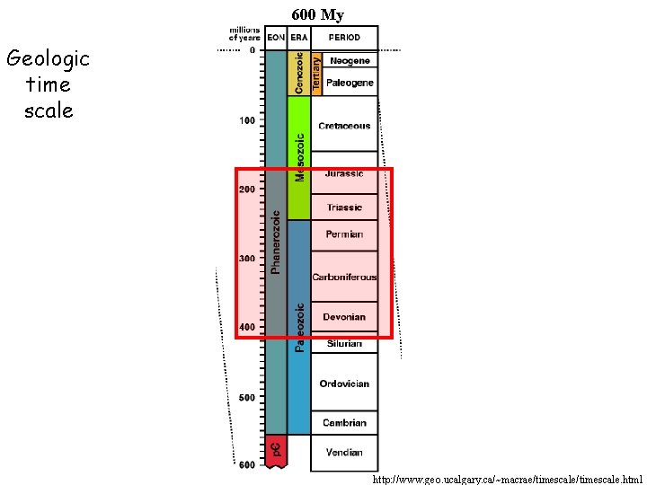 600 My Geologic time scale http: //www. geo. ucalgary. ca/~macrae/timescale. html 600 My Geologic time scale http: //www. geo. ucalgary. ca/~macrae/timescale. html