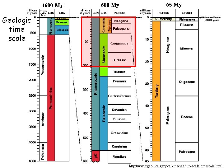 4600 My 65 My Geologic time scale http: //www. geo. ucalgary. ca/~macrae/timescale. html 4600 My 65 My Geologic time scale http: //www. geo. ucalgary. ca/~macrae/timescale. html
