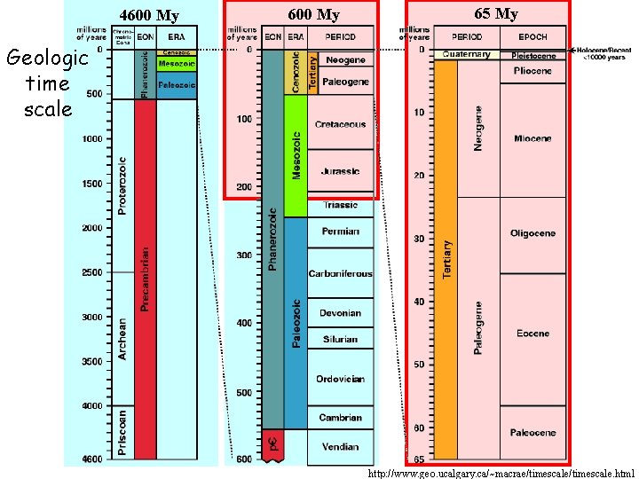 4600 My 65 My Geologic time scale http: //www. geo. ucalgary. ca/~macrae/timescale. html 4600 My 65 My Geologic time scale http: //www. geo. ucalgary. ca/~macrae/timescale. html