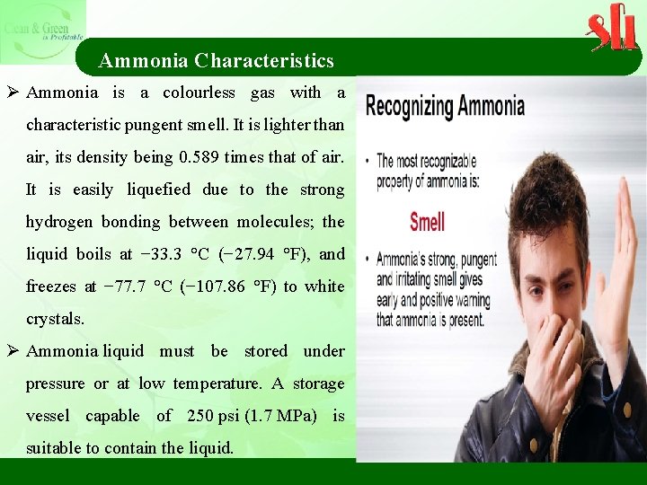 Ammonia Characteristics Ø Ammonia is a colourless gas with a characteristic pungent smell. It