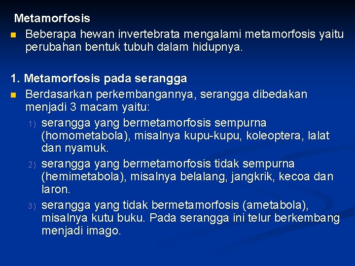 Metamorfosis Beberapa hewan invertebrata mengalami metamorfosis yaitu perubahan bentuk tubuh dalam hidupnya. 1. Metamorfosis