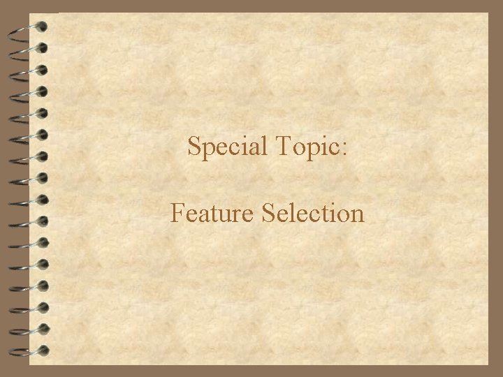 Special Topic: Feature Selection 