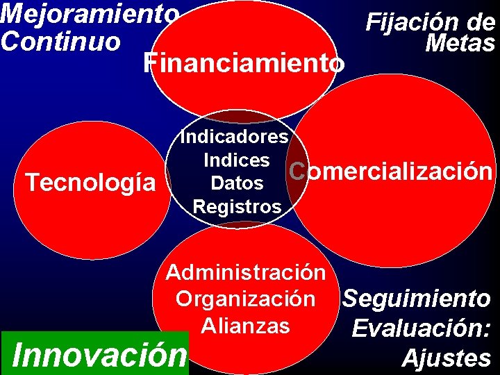 Mejoramiento Fijación de Continuo Metas Financiamiento Tecnología Indicadores Indices Comercialización Datos Registros Administración Organización