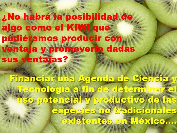 ¿No habrá la posibilidad de algo como el KIWI que pudiéramos producir con ventaja