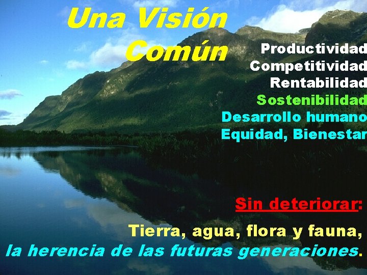 Una Visión Común Productividad Competitividad Rentabilidad Sostenibilidad Desarrollo humano Equidad, Bienestar Sin deteriorar: Tierra,