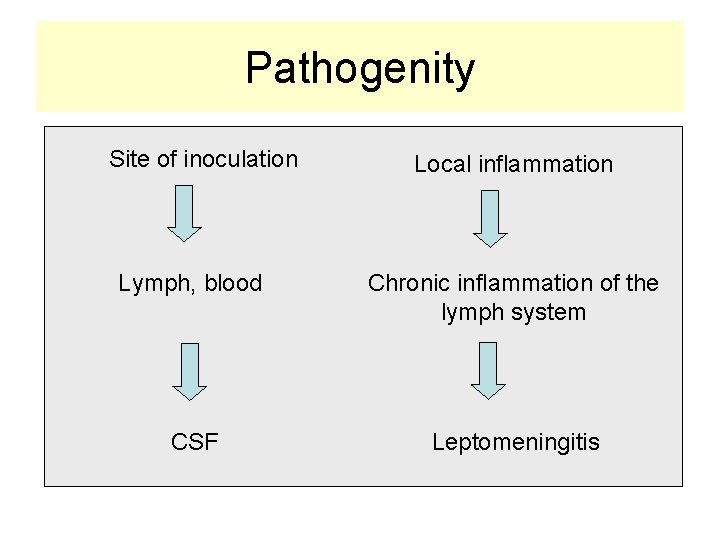 Pathogenity Site of inoculation Local inflammation Lymph, blood Chronic inflammation of the lymph system