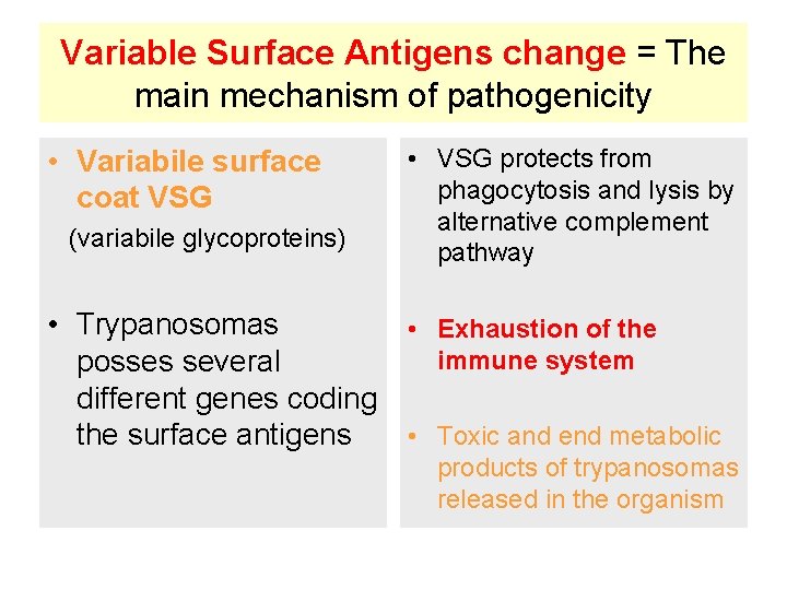 Variable Surface Antigens change = The main mechanism of pathogenicity • Variabile surface coat