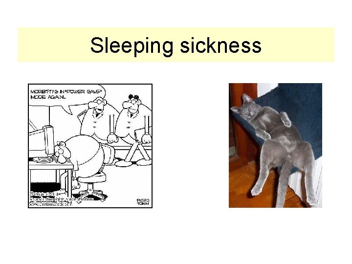 Sleeping sickness 