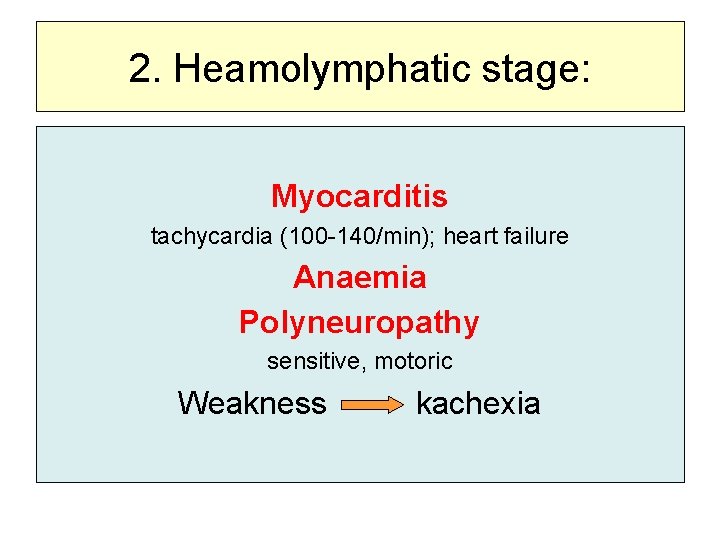 2. Heamolymphatic stage: Myocarditis tachycardia (100 -140/min); heart failure Anaemia Polyneuropathy sensitive, motoric Weakness