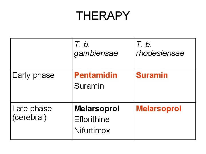 THERAPY T. b. gambiensae T. b. rhodesiensae Early phase Pentamidin Suramin Late phase (cerebral)