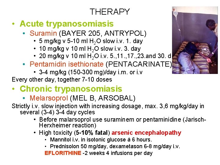 THERAPY • Acute trypanosomiasis • Suramin (BAYER 205, ANTRYPOL) • 5 mg/kg v 5