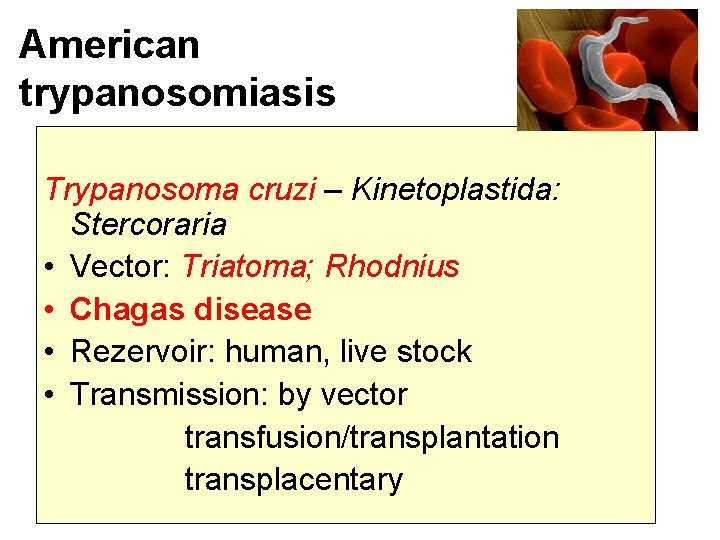 American trypanosomiasis Trypanosoma cruzi – Kinetoplastida: Stercoraria • Vector: Triatoma; Rhodnius • Chagas disease