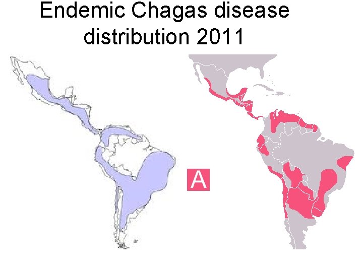 Endemic Chagas disease distribution 2011 