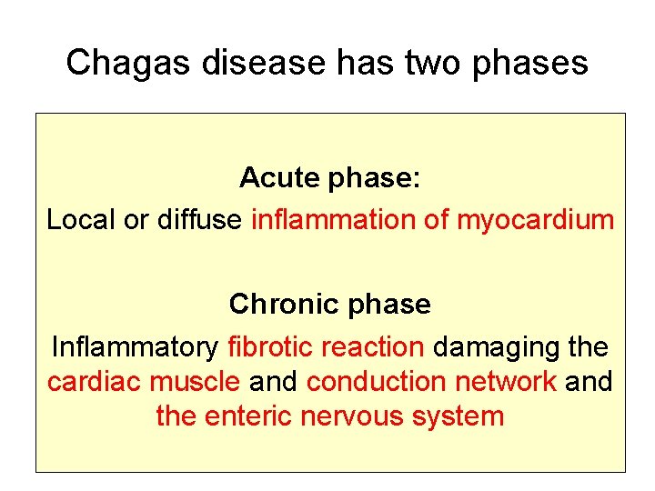 Chagas disease has two phases Acute phase: Local or diffuse inflammation of myocardium Chronic