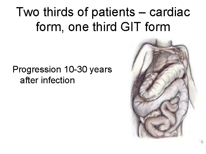 Two thirds of patients – cardiac form, one third GIT form Progression 10 -30