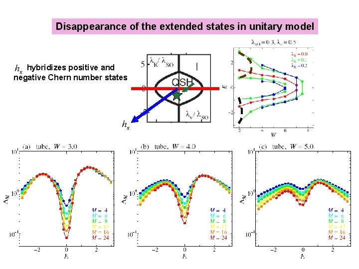 Disappearance of the extended states in unitary model hybridizes positive and negative Chern number