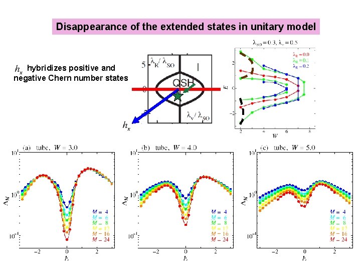Disappearance of the extended states in unitary model hybridizes positive and negative Chern number