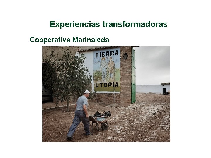 Experiencias transformadoras Cooperativa Marinaleda 