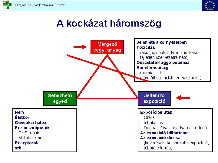 Országos Kémiai Biztonsági Intézet A kockázat háromszög Mérgező vegyi anyag Sebezhető egyed Nem Életkor