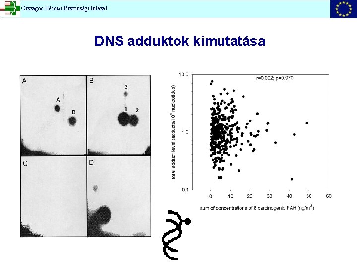 Országos Kémiai Biztonsági Intézet DNS adduktok kimutatása 