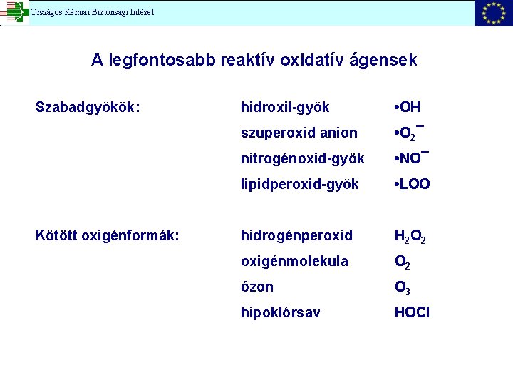 Országos Kémiai Biztonsági Intézet A legfontosabb reaktív oxidatív ágensek Szabadgyökök: Kötött oxigénformák: hidroxil-gyök •