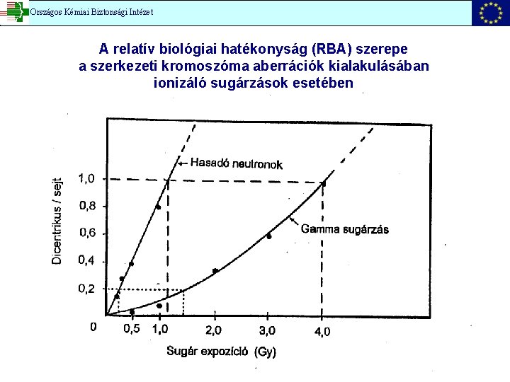 Országos Kémiai Biztonsági Intézet A relatív biológiai hatékonyság (RBA) szerepe a szerkezeti kromoszóma aberrációk