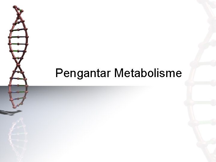 Pengantar Metabolisme 