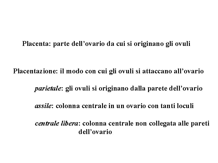 Placenta: parte dell’ovario da cui si originano gli ovuli Placentazione: il modo con cui Placenta: parte dell’ovario da cui si originano gli ovuli Placentazione: il modo con cui