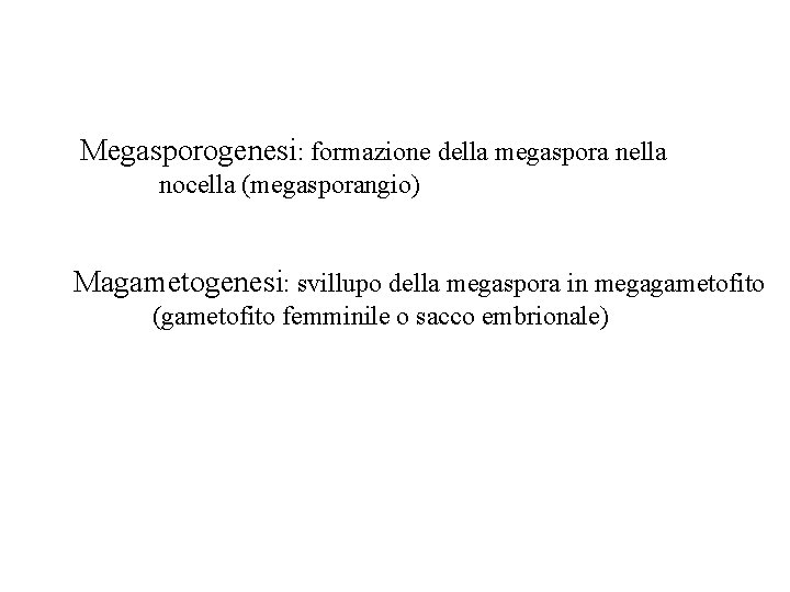 Megasporogenesi: formazione della megaspora nella nocella (megasporangio) Magametogenesi: svillupo della megaspora in megagametofito (gametofito Megasporogenesi: formazione della megaspora nella nocella (megasporangio) Magametogenesi: svillupo della megaspora in megagametofito (gametofito