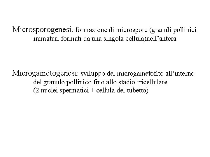 Microsporogenesi: formazione di microspore (granuli pollinici immaturi formati da una singola cellula)nell’antera Microgametogenesi: sviluppo Microsporogenesi: formazione di microspore (granuli pollinici immaturi formati da una singola cellula)nell’antera Microgametogenesi: sviluppo