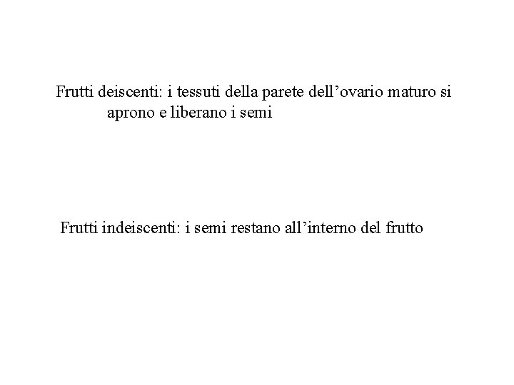 Frutti deiscenti: i tessuti della parete dell’ovario maturo si aprono e liberano i semi Frutti deiscenti: i tessuti della parete dell’ovario maturo si aprono e liberano i semi