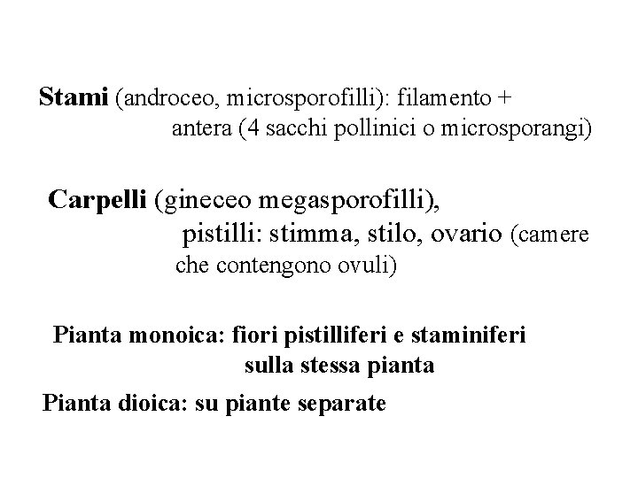 Stami (androceo, microsporofilli): filamento + antera (4 sacchi pollinici o microsporangi) Carpelli (gineceo megasporofilli), Stami (androceo, microsporofilli): filamento + antera (4 sacchi pollinici o microsporangi) Carpelli (gineceo megasporofilli),