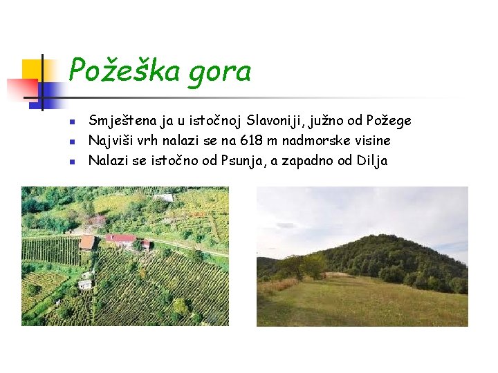 Požeška gora n n n Smještena ja u istočnoj Slavoniji, južno od Požege Najviši
