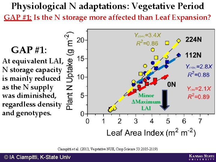 Physiological N adaptations: Vegetative Period GAP #1: Is the N storage more affected than