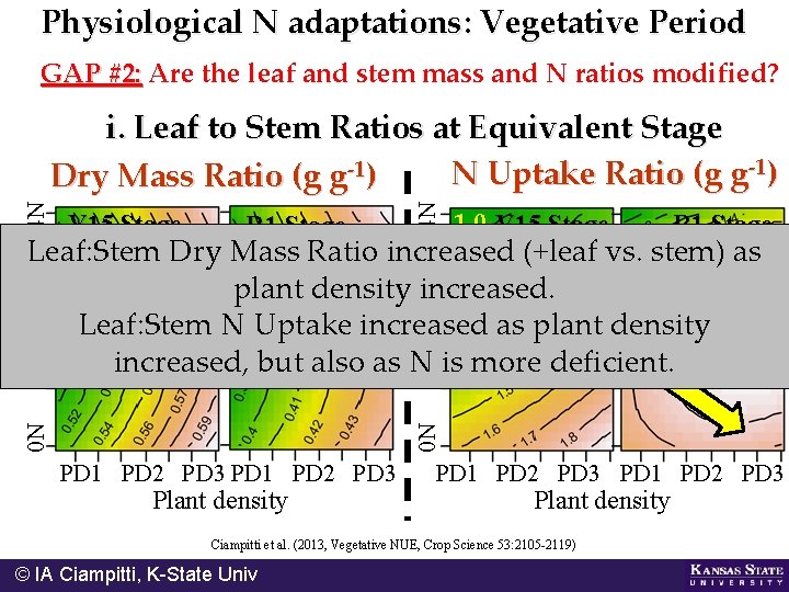 Physiological N adaptations: Vegetative Period GAP #2: Are the leaf and stem mass and