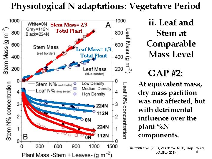 Physiological N adaptations: Vegetative Period Stem Mass= 2/3 Total Plant Leaf Mass= 1/3 Total