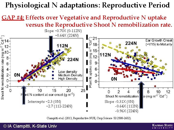 Physiological N adaptations: Reproductive Period GAP #4: Effects over Vegetative and Reproductive N uptake