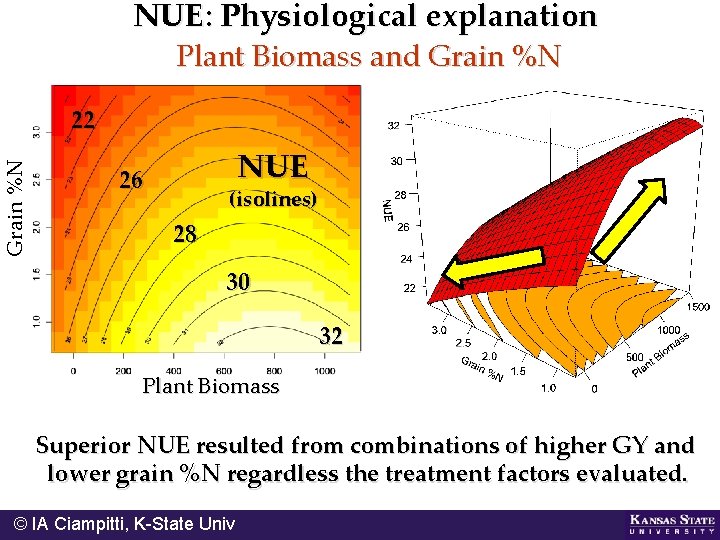 NUE: Physiological explanation Plant Biomass and Grain %N 22 NUE 26 (isolines) 28 30