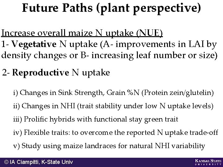 Future Paths (plant perspective) Increase overall maize N uptake (NUE) 1 - Vegetative N