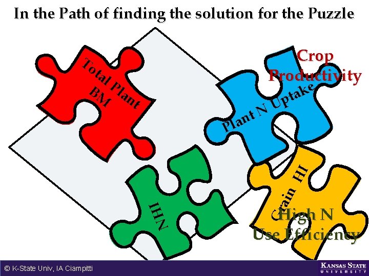 In the Path of finding the solution for the Puzzle Crop Productivity To ta