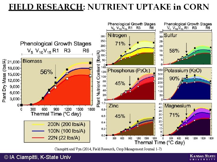 FIELD RESEARCH: NUTRIENT UPTAKE in CORN Ciampitti and Vyn (2014, Field Research, Crop Management