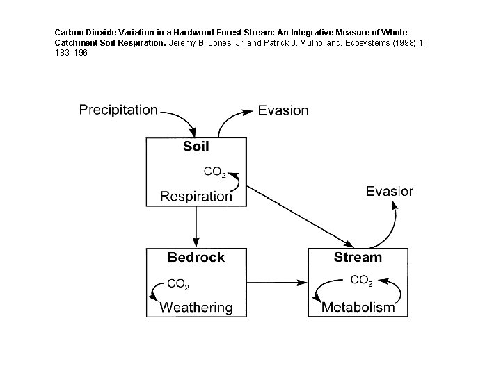 Carbon Dioxide Variation in a Hardwood Forest Stream: An Integrative Measure of Whole Catchment