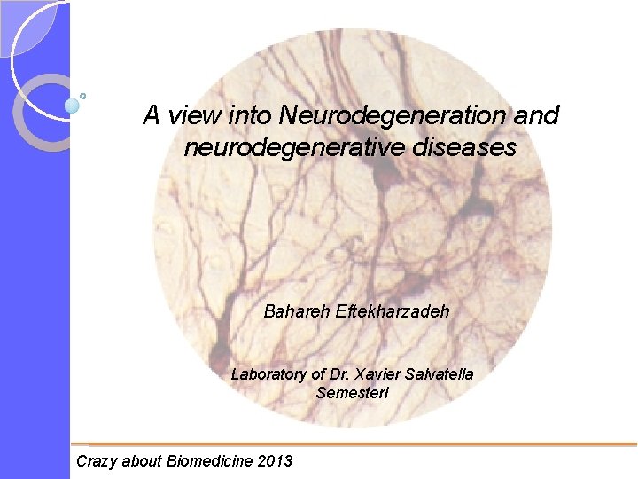 A view into Neurodegeneration and neurodegenerative diseases Bahareh Eftekharzadeh Laboratory of Dr. Xavier Salvatella