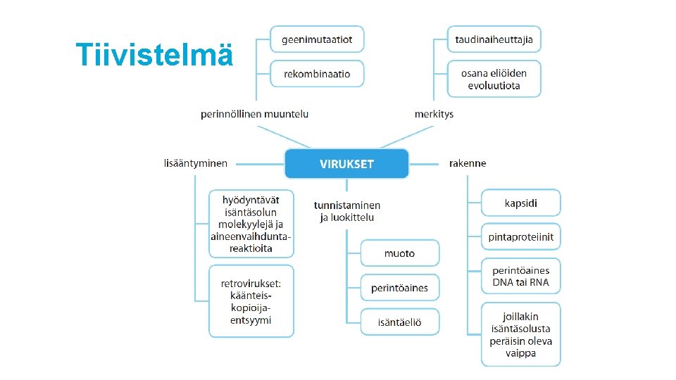 Tiivistelmä 