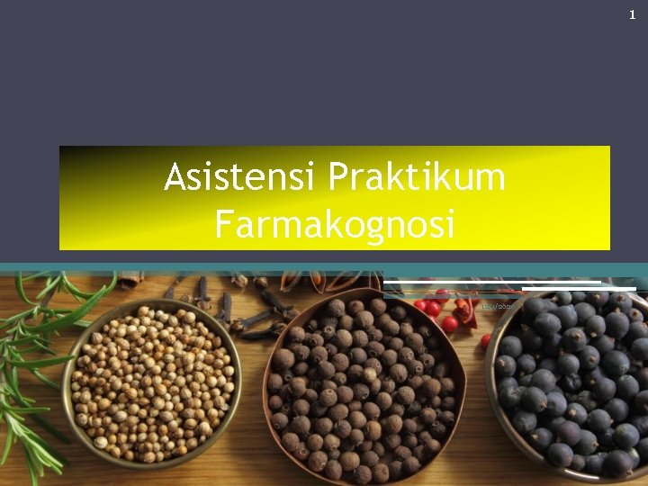 1 Asistensi Praktikum Farmakognosi 12/1/2020 