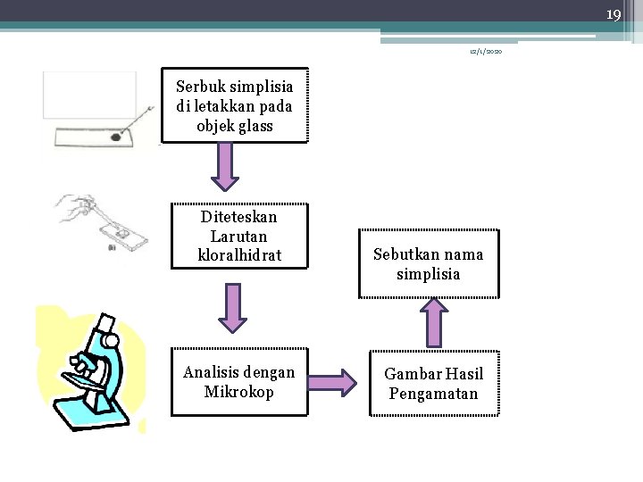 19 12/1/2020 Serbuk simplisia di letakkan pada objek glass Diteteskan Larutan kloralhidrat Analisis dengan