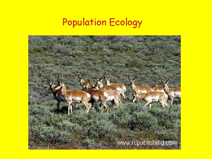 Population Ecology 