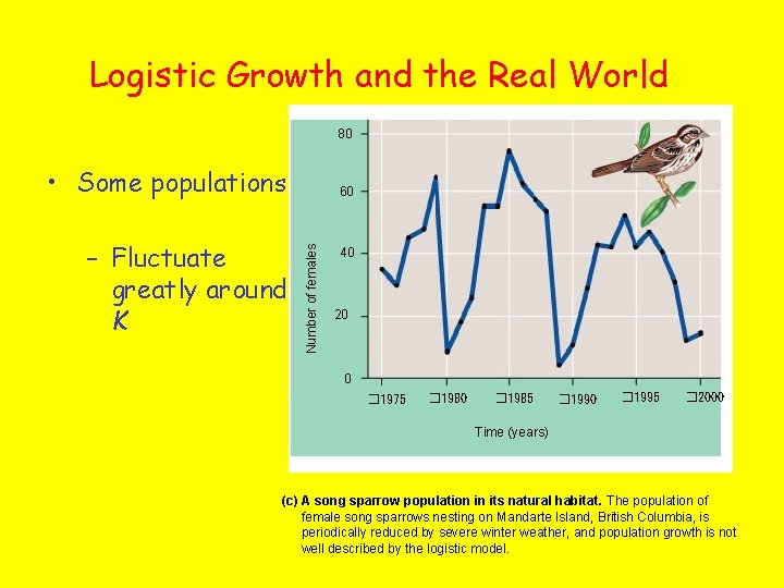 Logistic Growth and the Real World 80 • Some populations Number of females –