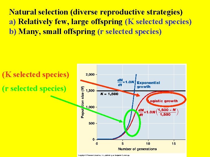 Natural selection (diverse reproductive strategies) a) Relatively few, large offspring (K selected species) b)