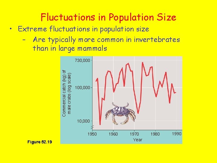 Fluctuations in Population Size • Extreme fluctuations in population size – Are typically more